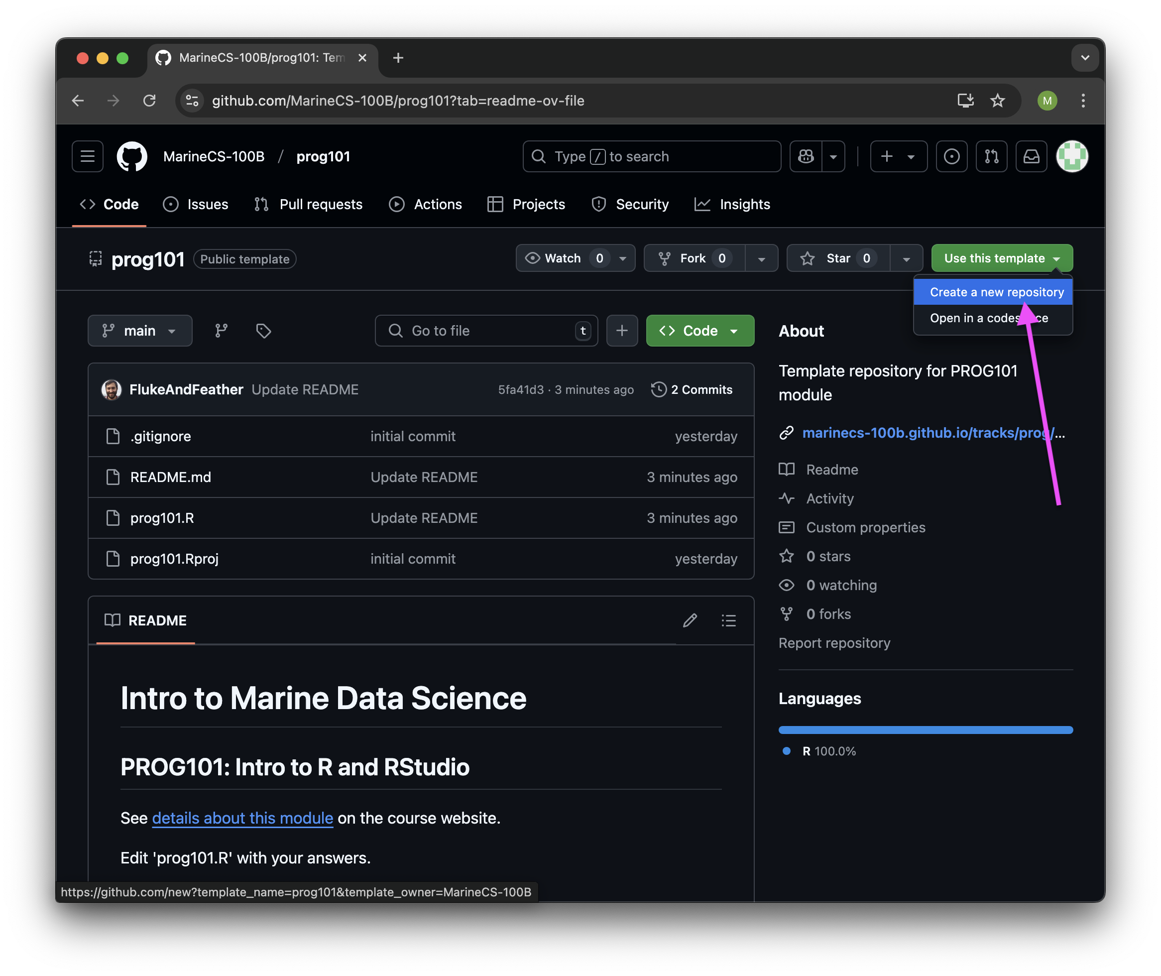 Screenshot of GitHub template repo with link to "Create a new repository" highlighted