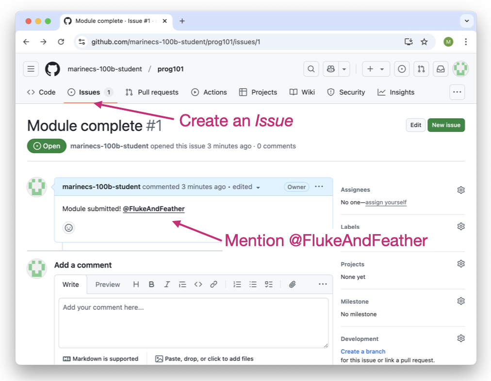 Screenshot of an Issue on GitHub